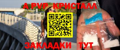 амф Донской