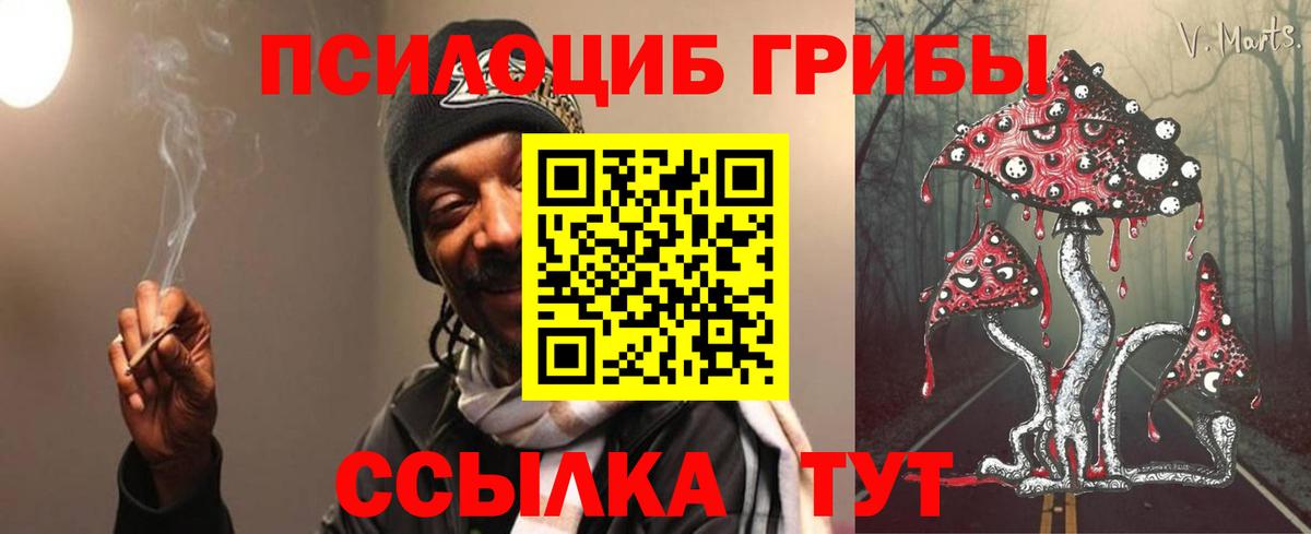 Псилоцибиновые грибы MAGIC MUSHROOMS  Вход с VPN  Малоярославец  Галлюциногенные грибы мицелий 